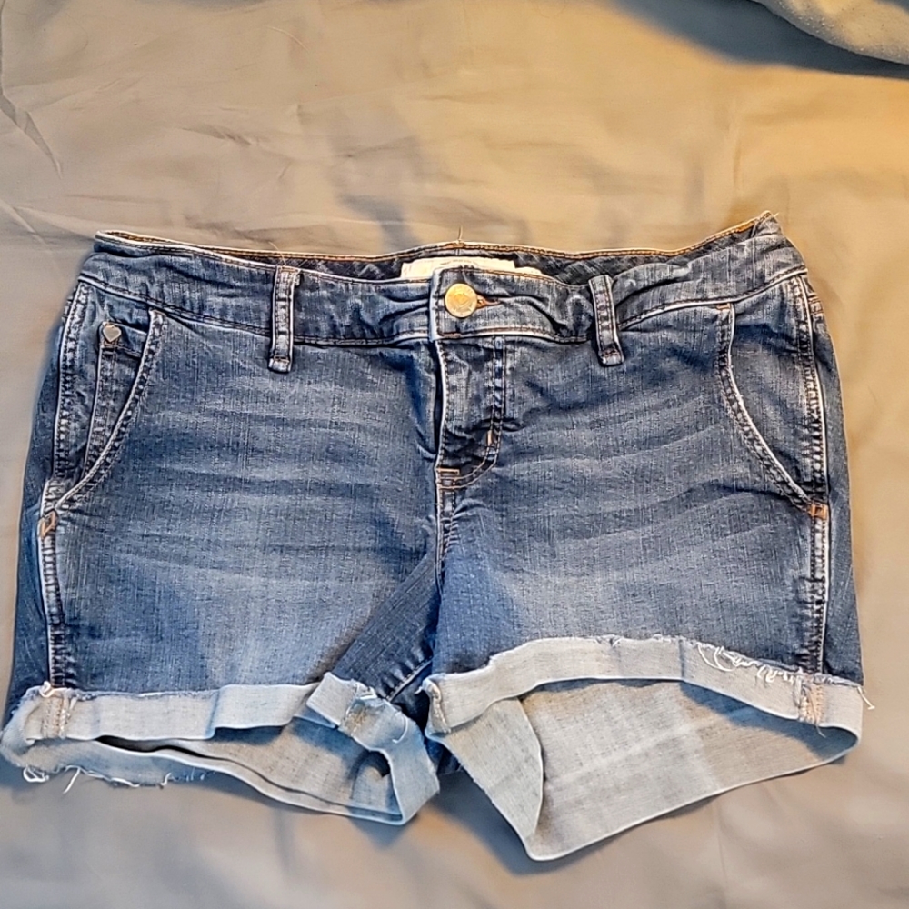 Torrid jean shorts